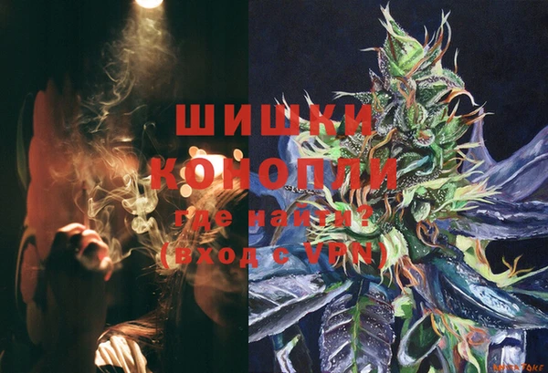 крисы Киренск