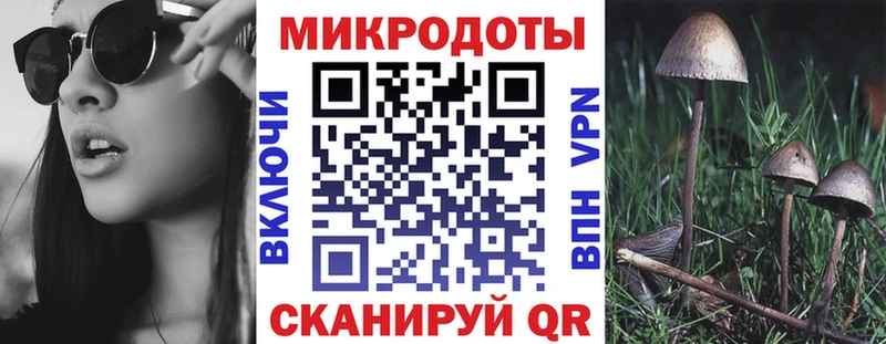 Псилоцибиновые грибы Magic Shrooms  Купить закладки  Демидов 